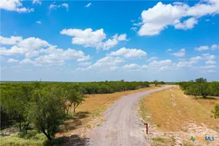 0000 Hwy 44, Freer, TX 78357 - Photo 4