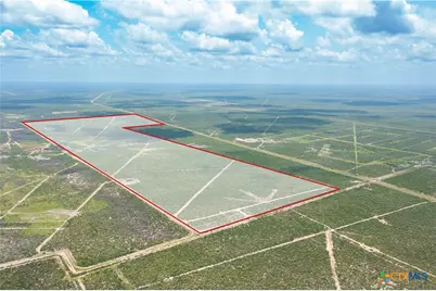 0000 Highway 44, Freer, TX 78357 - Photo 8
