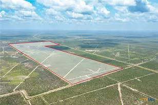 0000 Hwy 44, Freer, TX 78357 - Photo 8