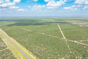 0000 Hwy 44, Freer, TX 78357 - Photo 20