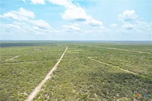 0000 Hwy 44, Freer, TX 78357 - Photo 16