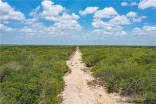 0000 Hwy 44, Freer, TX 78357 - Photo 22