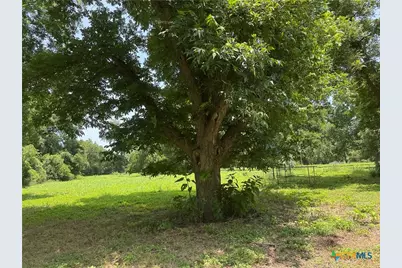 00 B and B, Seguin, TX 78155 - Photo 6