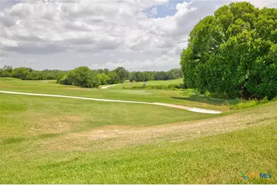 272 Long Creek Boulevard, New Braunfels, TX 78130 - Photo 40