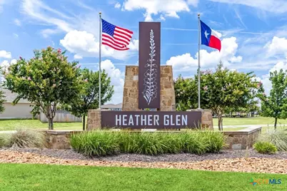 472 Mallow Drive, New Braunfels, TX 78130 - Photo 26