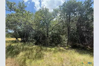 1074 Kenton Parkway, Salado, TX 76571 - Photo 4