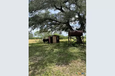 627 Ochoa, Nordheim, TX 78141 - Photo 6