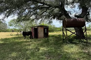 627 Ochoa, Nordheim, TX 78141 - Photo 6