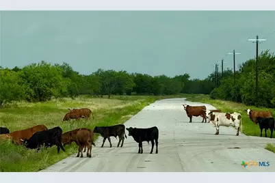 0 Pitchfork Ranch Road, Copperas Cove, TX 76522 - Photo 2
