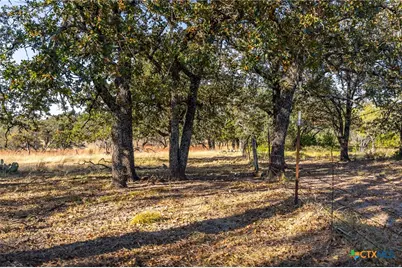 1260 County Road 2001, Lampasas, TX 76550 - Photo 6