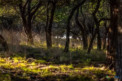 1260 County Road 2001, Lampasas, TX 76550 - Photo 2