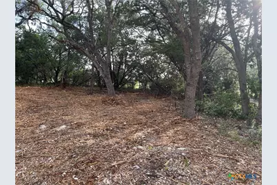 1371 Four Winds Drive, Canyon Lake, TX 78133 - Photo 2