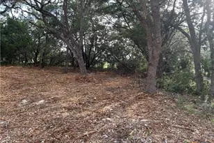 1371 Four winds dr, Canyon Lake, TX 78133 - Photo 2
