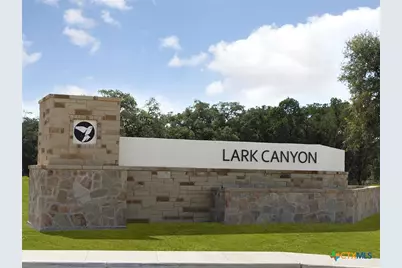 1540 Zion Drive, New Braunfels, TX 78132 - Photo 12