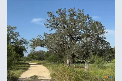 0 Batey Ranch Road, Nixon, TX 78140 - Photo 4