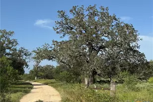 0 Batey Ranch Rd, Nixon, TX 78140 - Photo 4