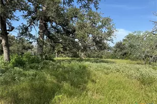 0 Batey Ranch Rd, Nixon, TX 78140 - Photo 6
