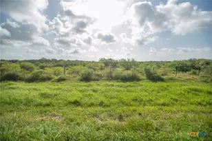 40 Acres Hwy 172, Port Lavaca, TX 77979 - Photo 8
