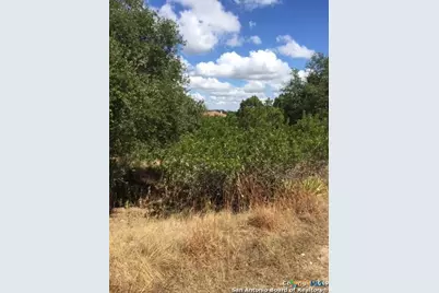 318 Gallagher Drive, Canyon Lake, TX 78133 - Photo 6