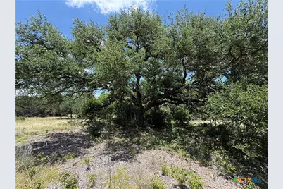 1220 Gannon Trail, Salado, TX 76571 - Photo 6