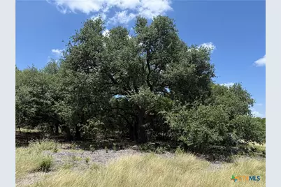1238 Gannon Trail, Salado, TX 76571 - Photo 2