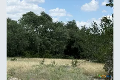 1219 Gannon Trail, Salado, TX 76571 - Photo 4