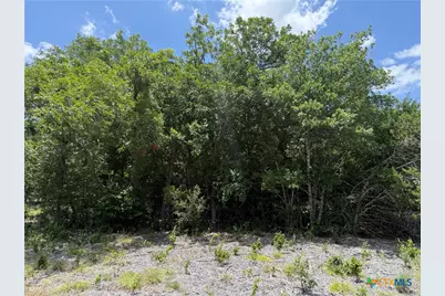 1219 Gannon Trail, Salado, TX 76571 - Photo 6