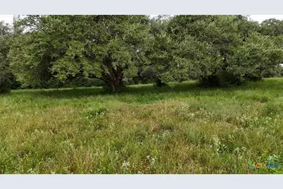 193 Old Hwy 59, Goliad, TX 77963 - Photo 18