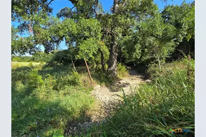 7980 E US Highway 84 Highway, Gatesville, TX 76528 - Photo 6
