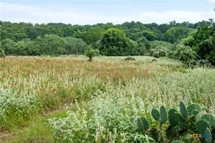 317 Walnut Creek Rd, Bastrop, TX 78602 - Photo 30