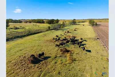 2663 W Crabb, West, TX 76691 - Photo 16