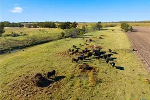 2663 W Crabb, West, TX 76691 - Photo 16