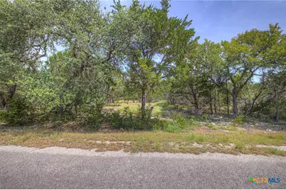 235 Flanders, Fischer, TX 78623 - Photo 4