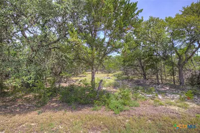 235 Flanders, Fischer, TX 78623 - Photo 2