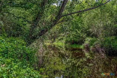 000 McGuill Rd., Goliad, TX 77963 - Photo 6