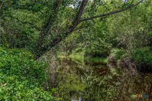 000 McGuill Rd, Goliad, TX 77963 - Photo 6