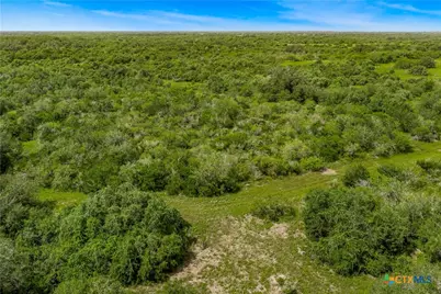 000 McGuill Rd., Goliad, TX 77963 - Photo 4