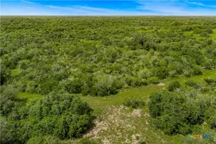000 McGuill Rd, Goliad, TX 77963 - Photo 4