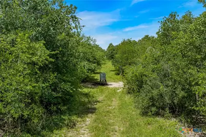 000 McGuill Rd., Goliad, TX 77963 - Photo 12
