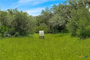 000 McGuill Rd, Goliad, TX 77963 - Photo 10