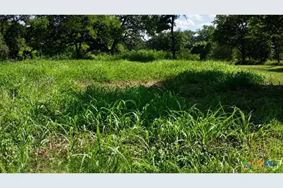 Lot 5 SW Blk Avenue, Waelder, TX 78959 - Photo 6