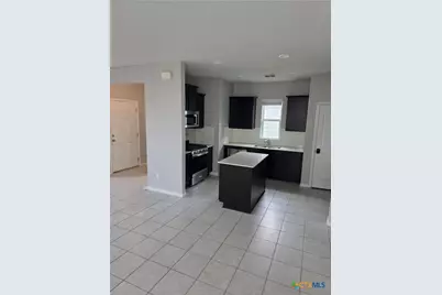 356 Spiny Lizard Lane, San Marcos, TX 78666 - Photo 26
