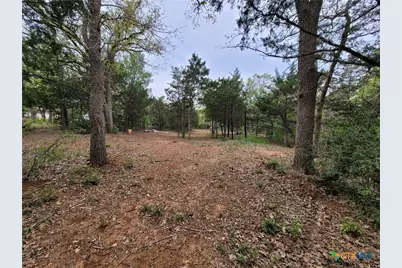 160 Arbor Hill Way, Cedar Creek, TX 78612 - Photo 8