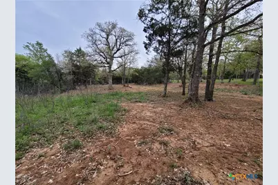 160 Arbor Hill Way, Cedar Creek, TX 78612 - Photo 14