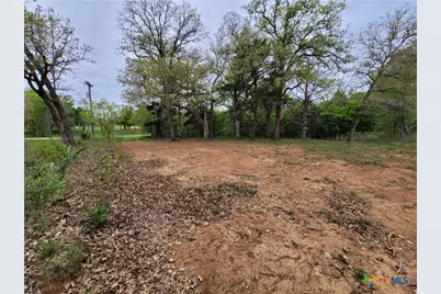 160 Arbor Hill Way, Cedar Creek, TX 78612 - Photo 2