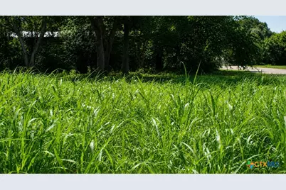 Lot 6 SW Blk 1st Avenue, Waelder, TX 78959 - Photo 1