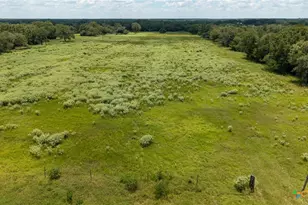 1130 Co Rd 1G, Hallettsville, TX 77964 - Photo 10