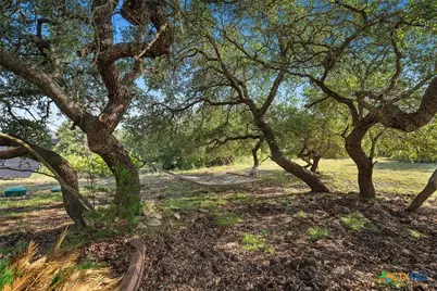 5913 Temerity Way, Bulverde, TX 78163 - Photo 44
