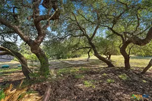 5913 Temerity Way, Bulverde, TX 78163 - Photo 44
