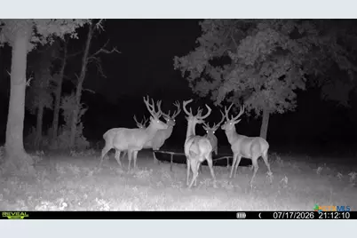 2524 Sandy Fork Road, Harwood, TX 78616 - Photo 36
